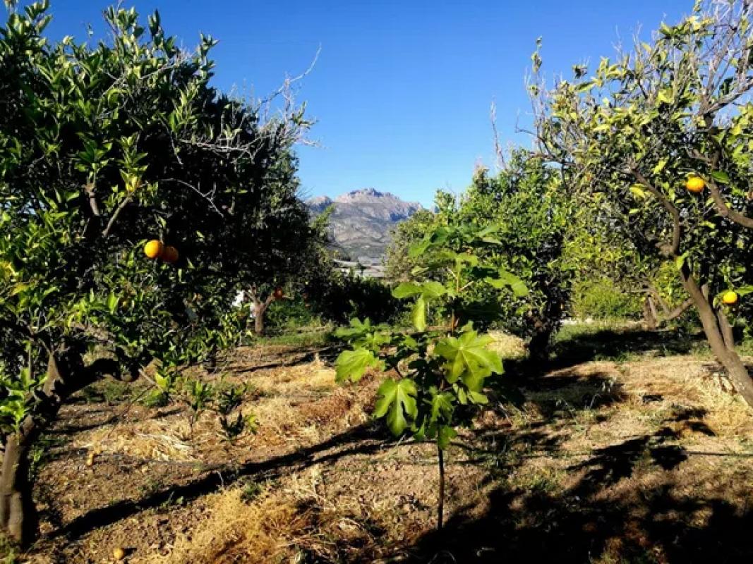Terreno en venta en Polop, Alicante photo 3