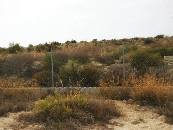 Terreno en camino Peña de las Águilas, km 1 thumbnail 1