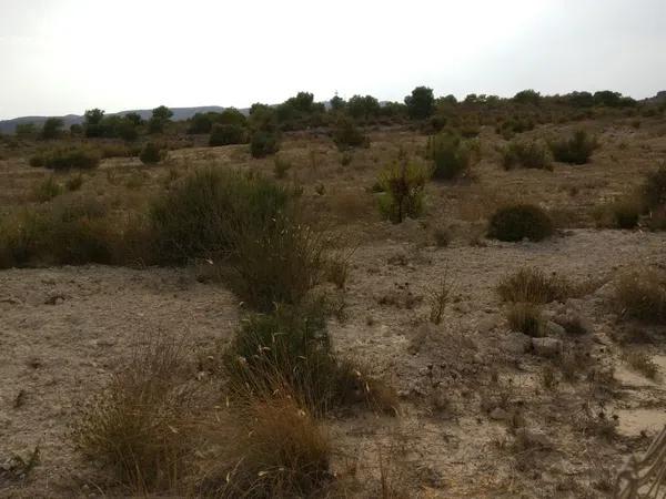 Terreno en camino Peña de las Águilas, km 1 thumbnail 2