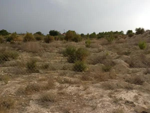 Terreno en camino Peña de las Águilas, km 1 photo 4