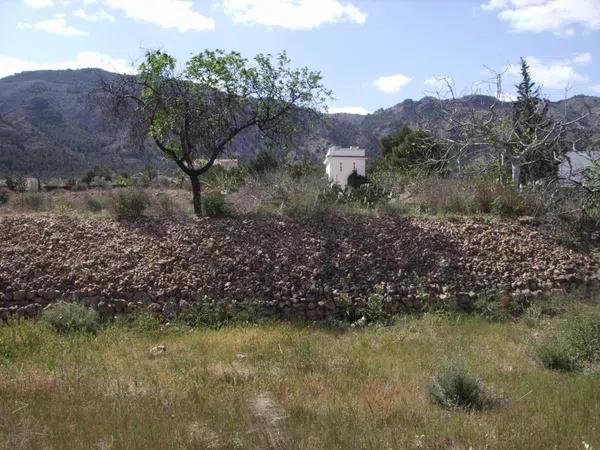 Terreno en Montepinar-La Aparecida-Raiguero thumbnail 1