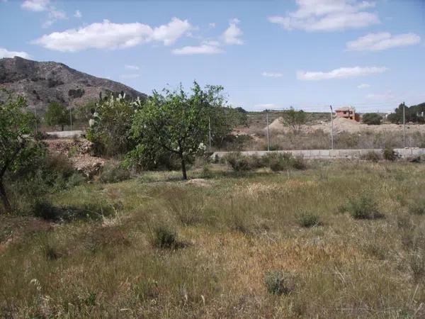 Terreno en Montepinar-La Aparecida-Raiguero photo 3