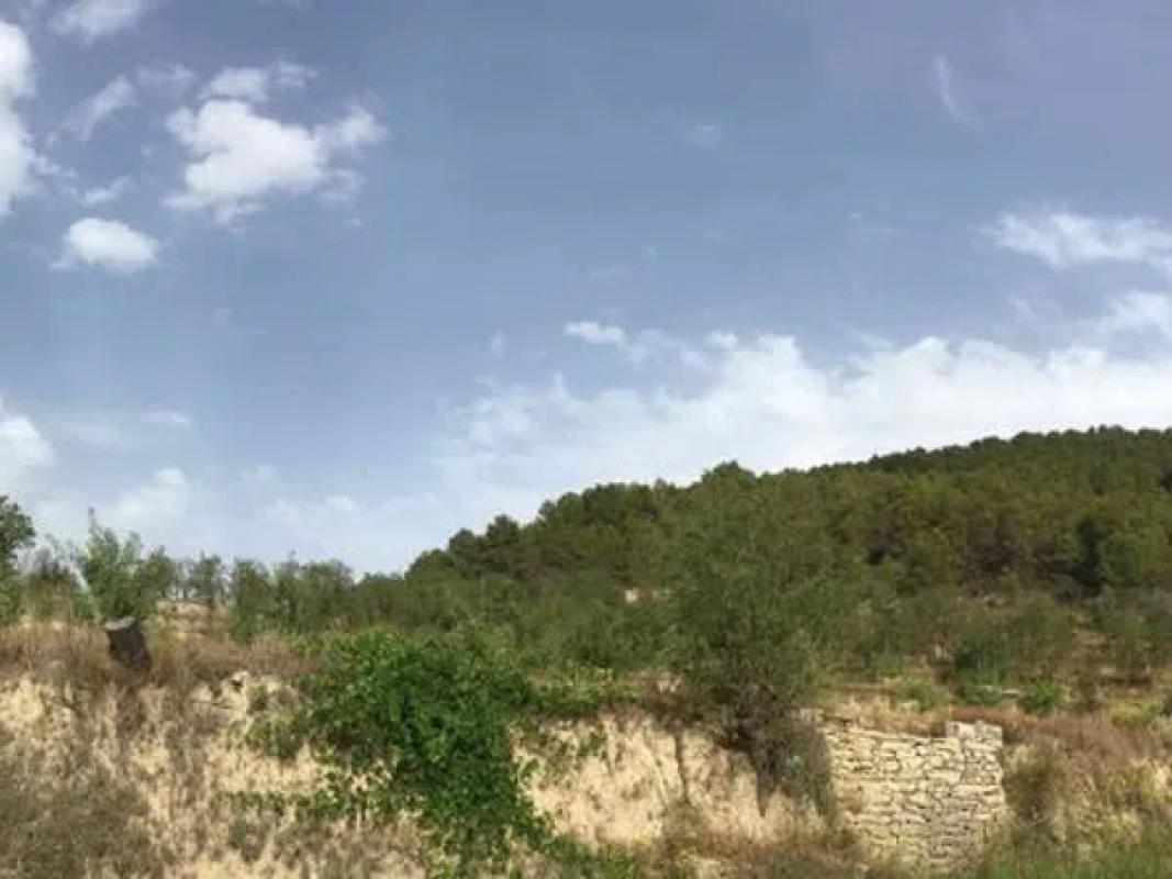 Działka na sprzedaż w Torremanzanas, Alicante photo 1