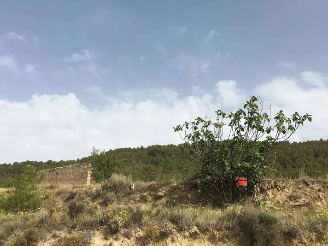 Działka na sprzedaż w Torremanzanas, Alicante photo 3