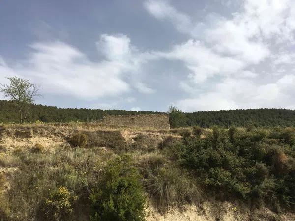 Terreno en Cv-782, 4 PolgonoParcela photo 4