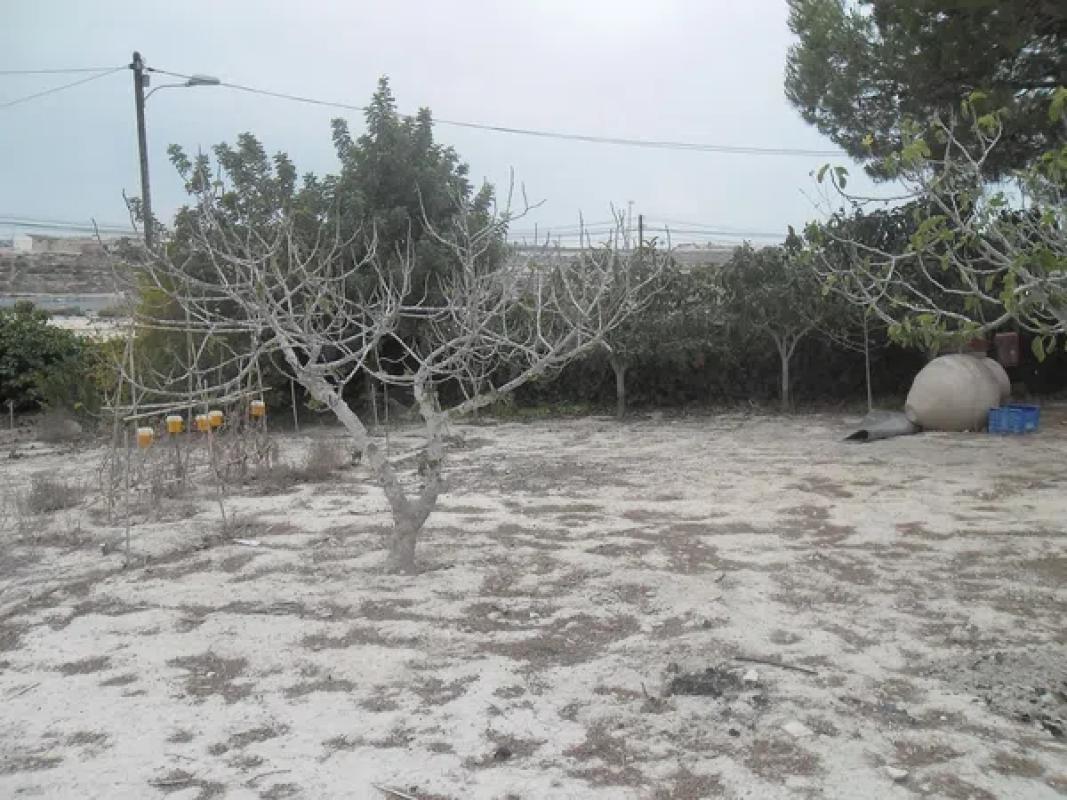 Terreno en venta en Orihuela, Alicante photo 4