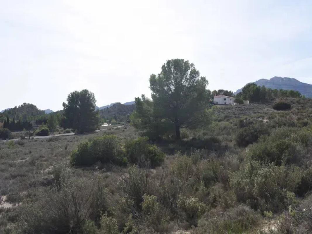 Terreno en venta en Jijona / Xixona, Alicante photo 3