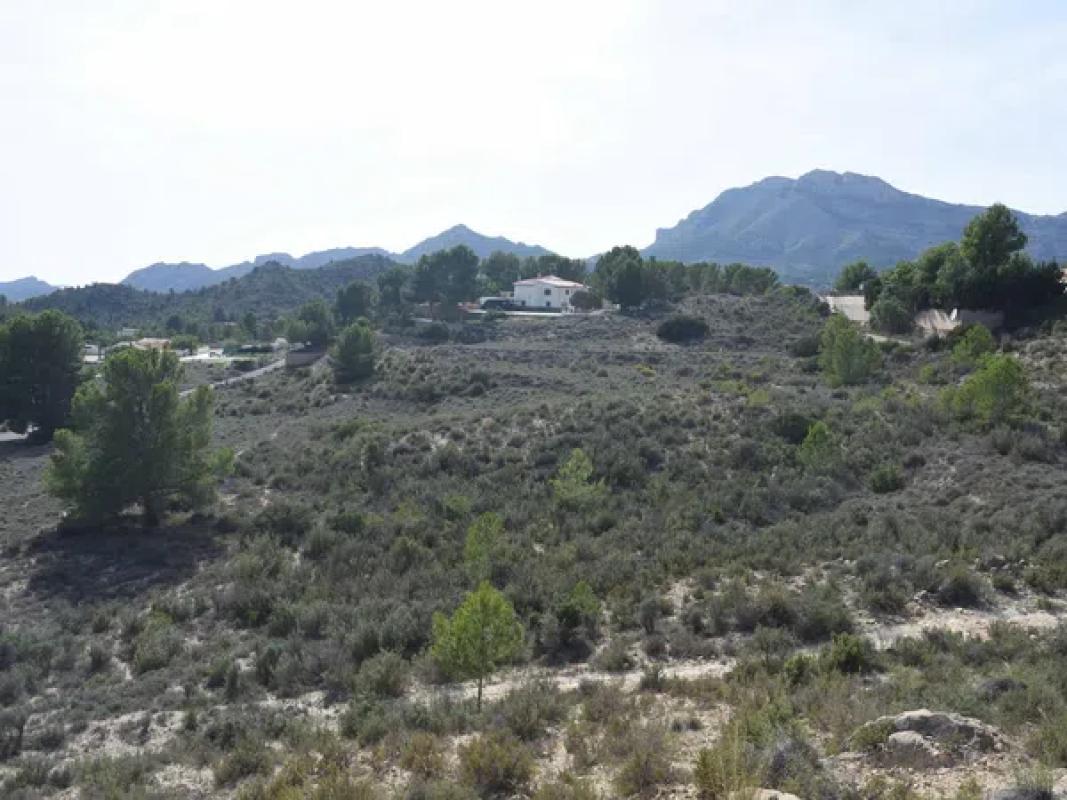 Terreno en venta en Jijona / Xixona, Alicante photo 4