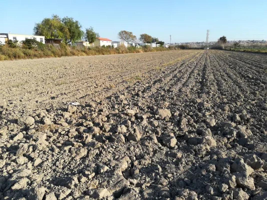 Działka na sprzedaż w Formentera del Segura, Alicante photo 1