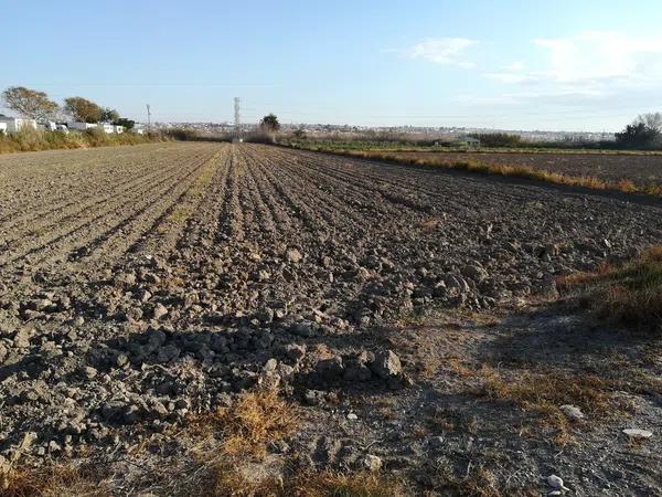 Terreno en avenida Guardamar s/n sn photo 4