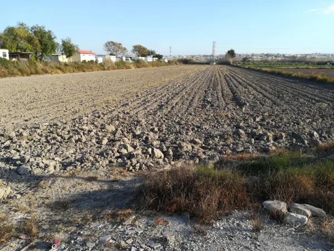 Działka na sprzedaż w Formentera del Segura, Alicante photo 5
