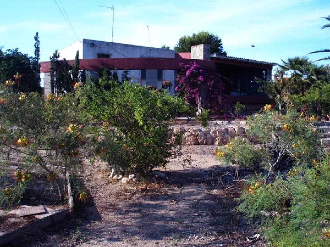 Terreno en venta en Guardamar del Segura, Alicante photo 3