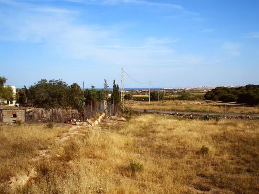 Terreno en venta en Guardamar del Segura, Alicante photo 4