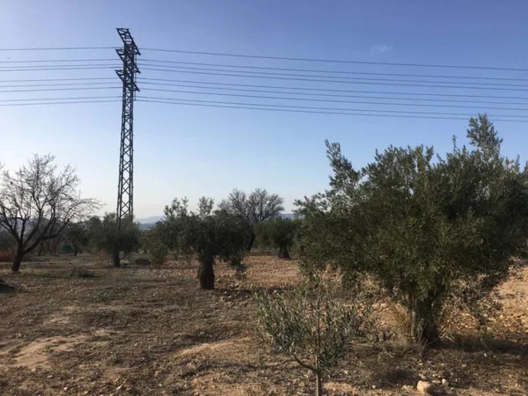 Działka na sprzedaż w Biar, Alicante photo 1