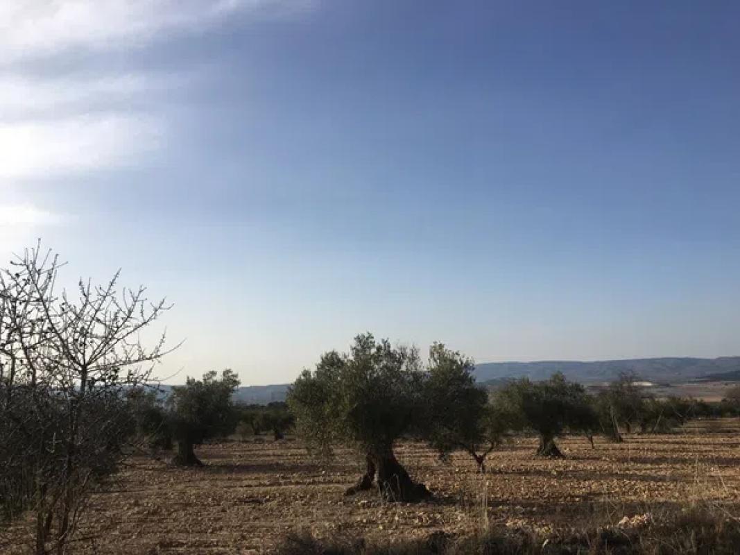 Działka na sprzedaż w Biar, Alicante photo 2