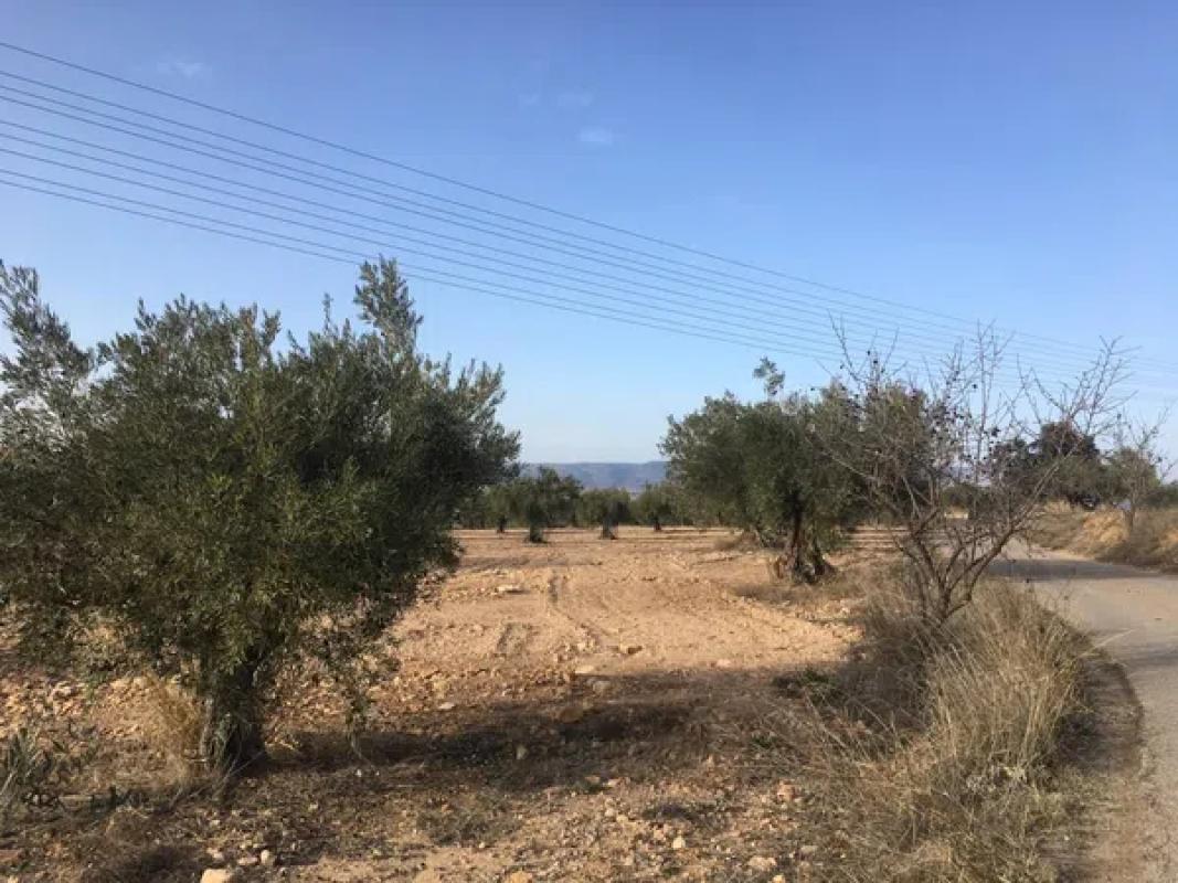 Działka na sprzedaż w Biar, Alicante photo 3