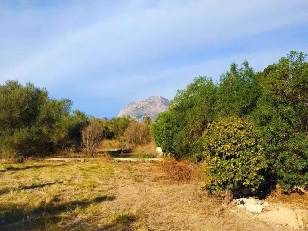 Terreno en venta en Benidorm, Alicante photo 1