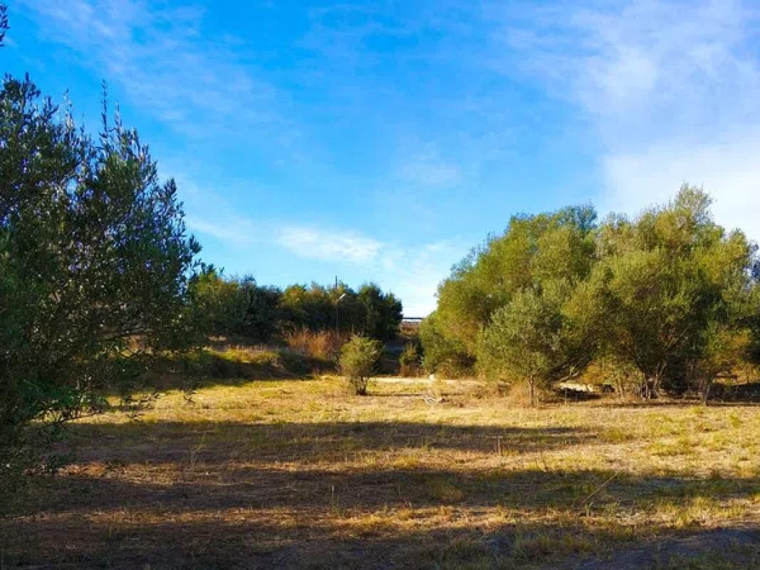 Terreno en venta en Benidorm, Alicante photo 5