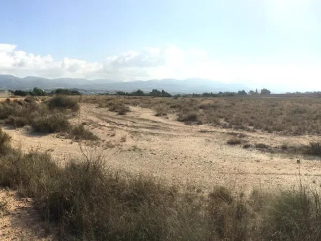 Terreno en venta en Sax, Alicante photo 1