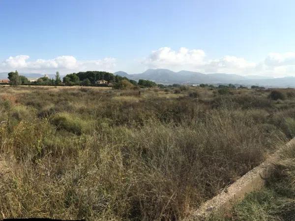 Terreno en Cra. Salinas y Camino del Estudiante, km 3 thumbnail 1
