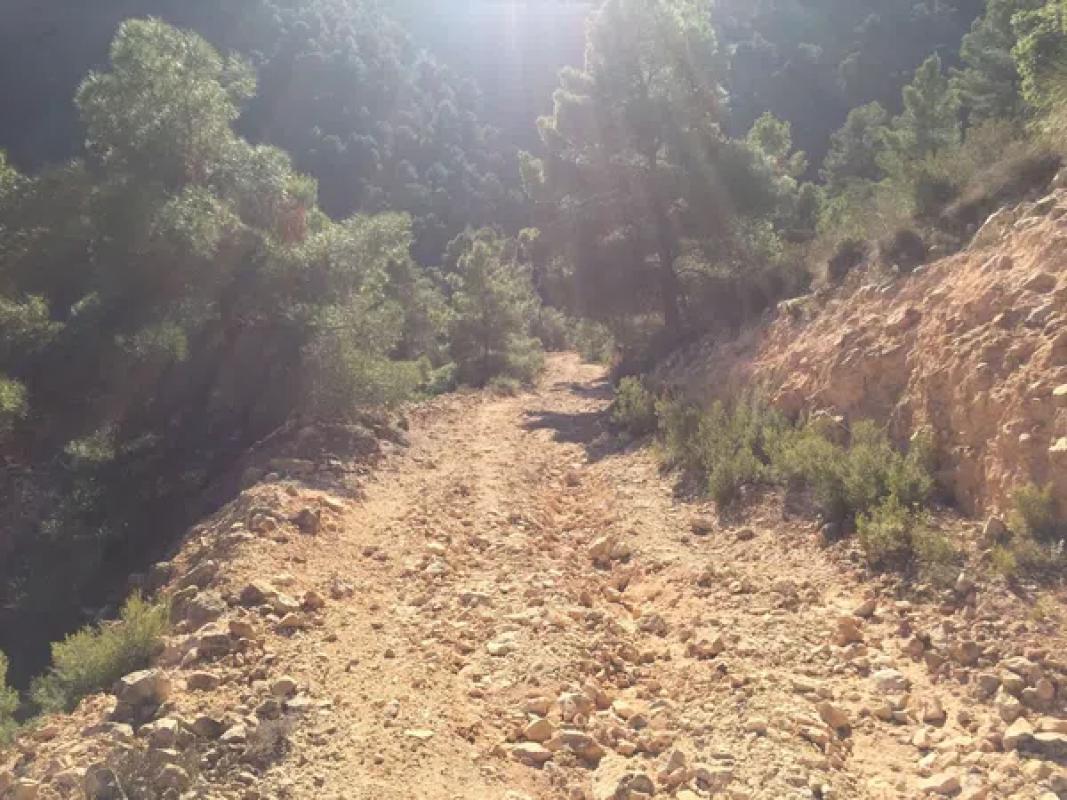 Terreno en venta en Jijona / Xixona, Alicante photo 5