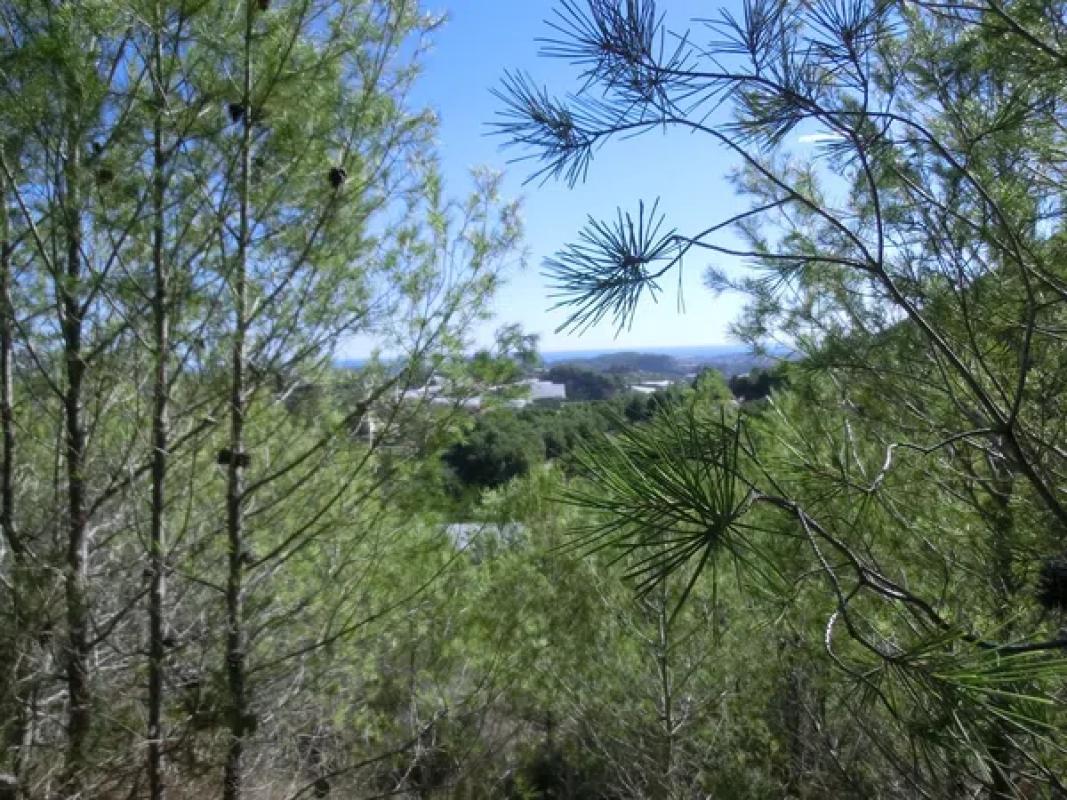 Terreno en venta en Callosa d''En Sarria, Alicante photo 2