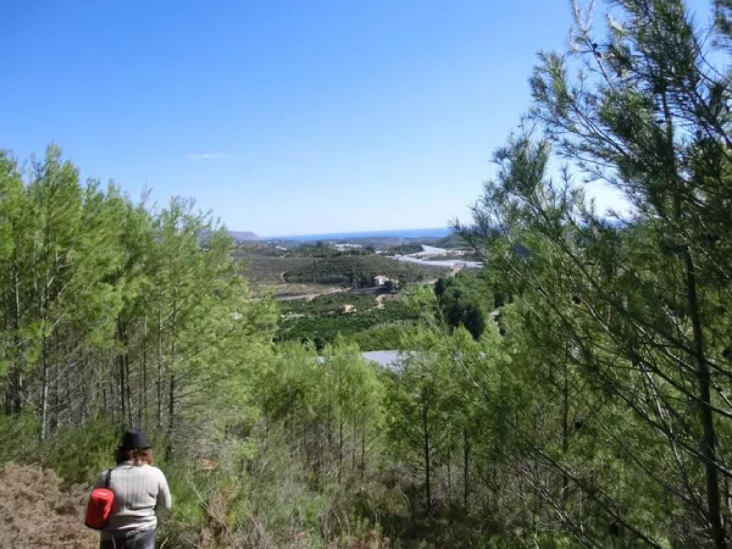 Terreno en venta en Callosa d''En Sarria, Alicante photo 3