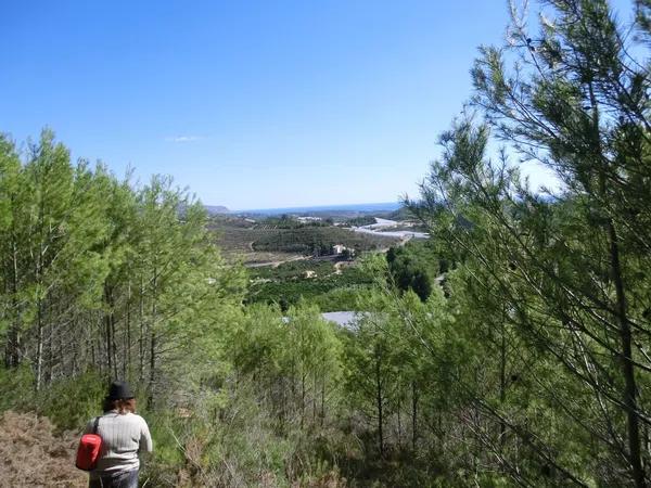Terreno en calle del Fondo, km 5 photo 3