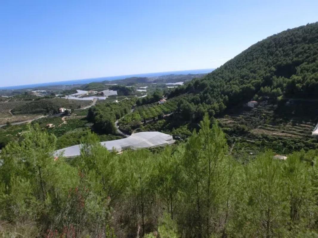 Terreno en venta en Callosa d''En Sarria, Alicante photo 4