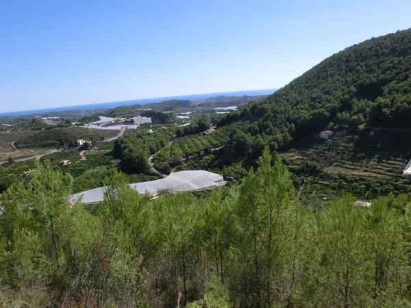 Terreno en calle del Fondo, km 5 photo 4