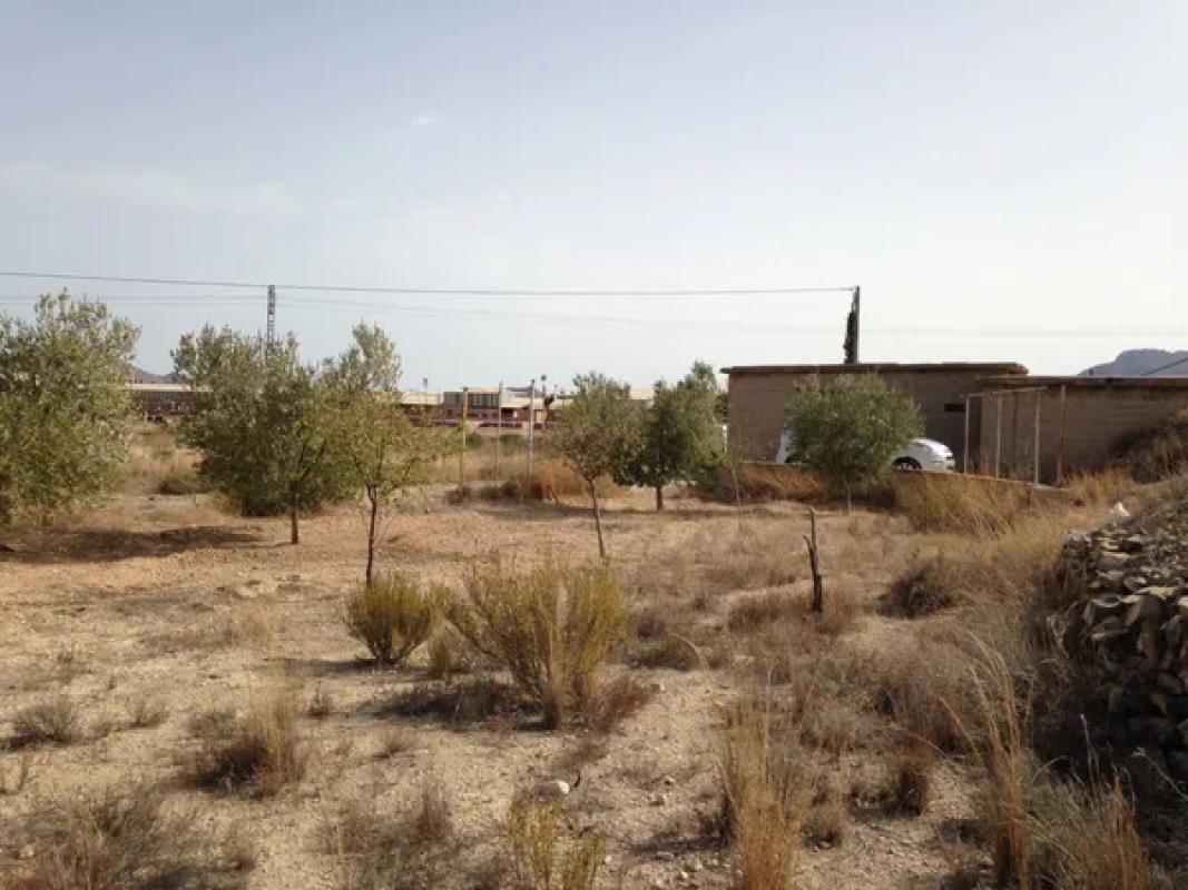 Terreno en venta en Moralet, Alicante photo 3