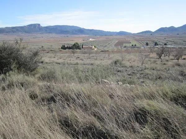 Terreno en Monovar photo 2