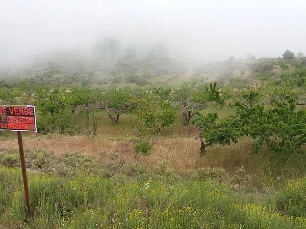 Land for sale in Confrides, Alicante photo 3