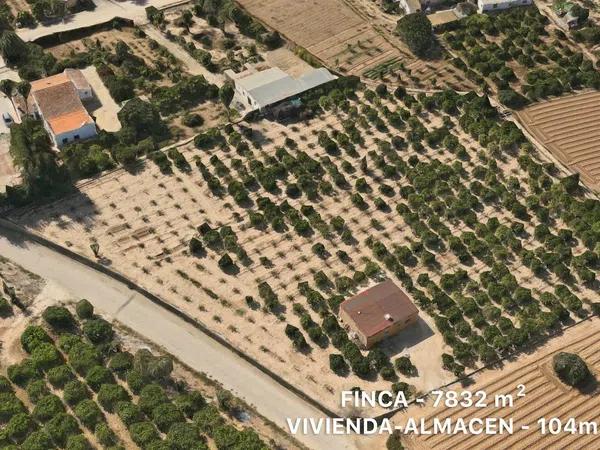 Terreno en Partida Algorós, 2 Pa photo 1