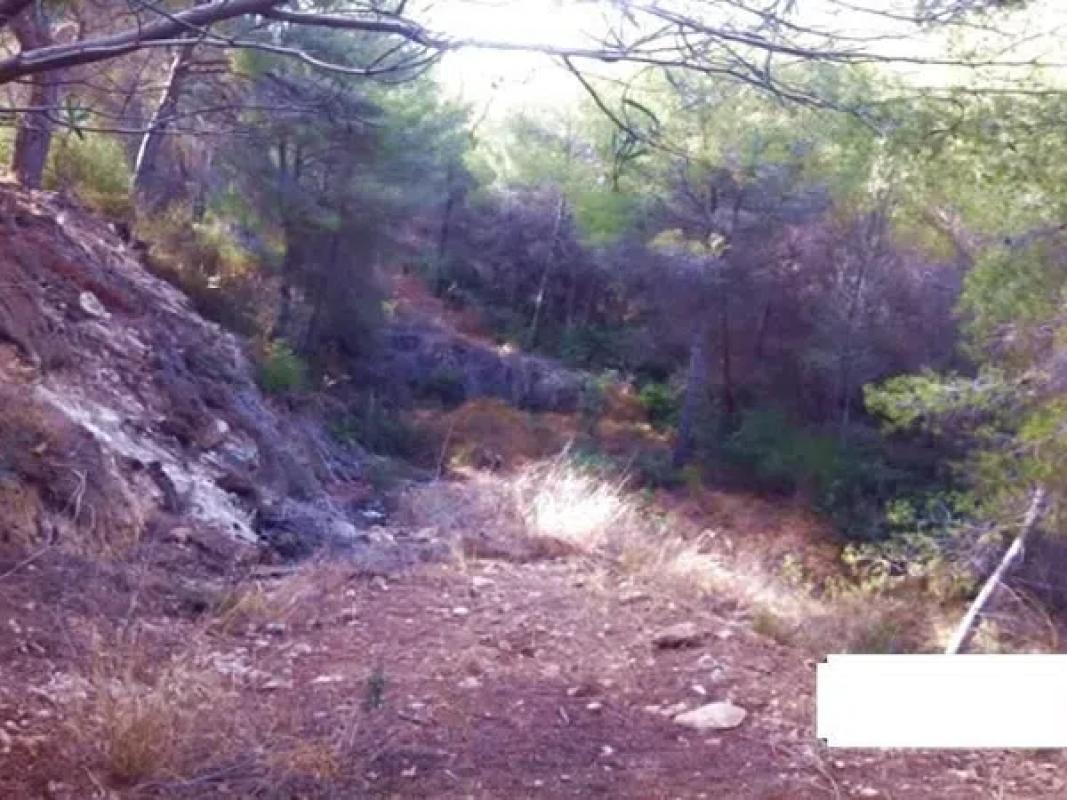 Działka na sprzedaż w Benissa, Alicante photo 3
