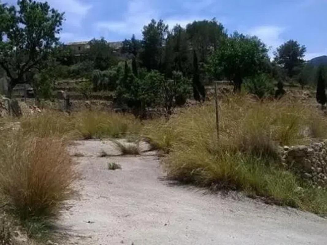 Land for sale in Benissa, Alicante photo 4