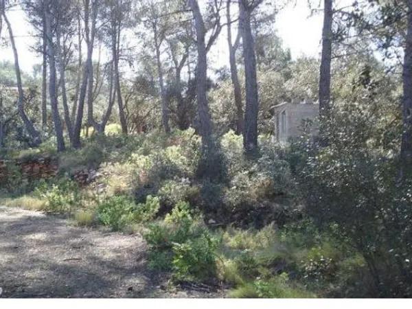 Terreno en L'Estepar, 20 a photo 1