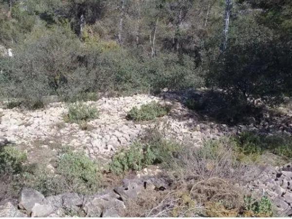 Terreno en L'Estepar, 20 a photo 2