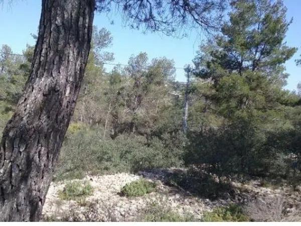 Terreno en L'Estepar, 20 a photo 3