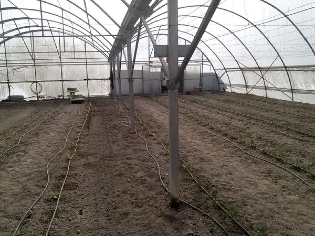 Terreno en venta en Cocentaina, Alicante photo 2