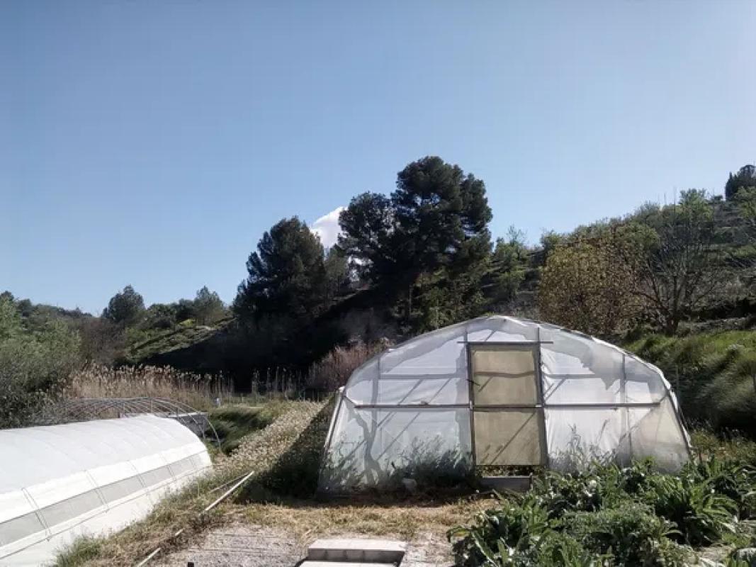 Terreno en venta en Cocentaina, Alicante photo 4