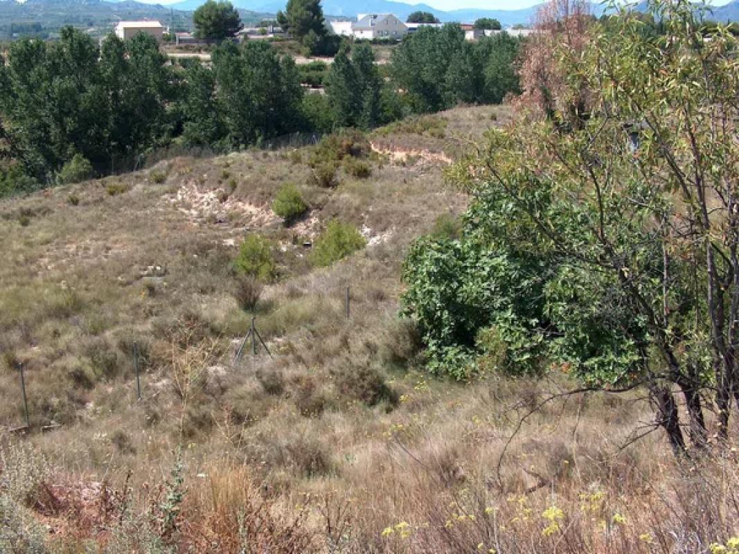Land for sale in Alcocer de Planes, Alicante photo 1