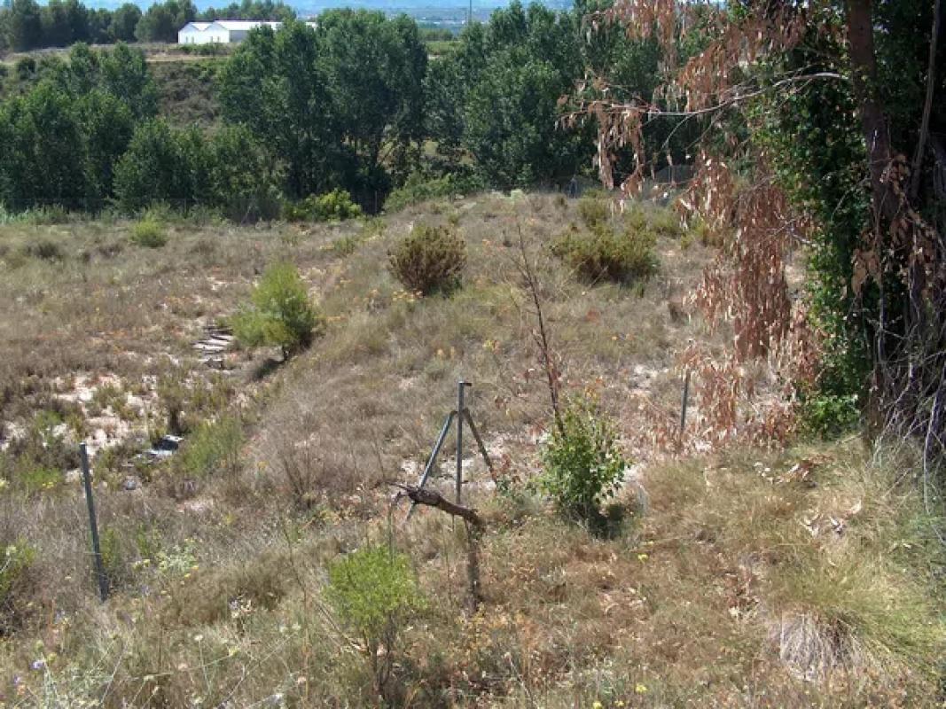 Land for sale in Alcocer de Planes, Alicante photo 2