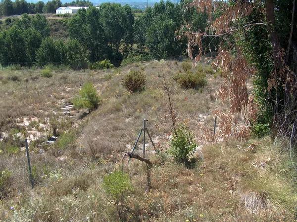 Terreno en camino de la Lloma, 4 photo 2