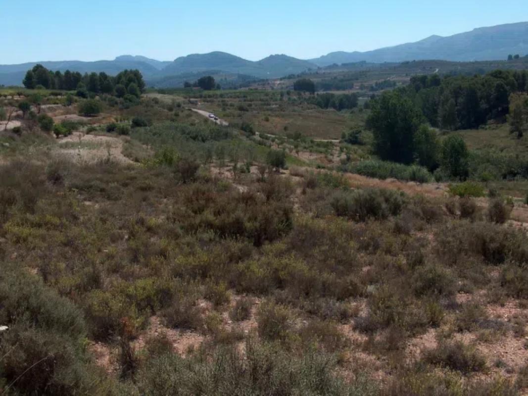 Land for sale in Alcocer de Planes, Alicante photo 3