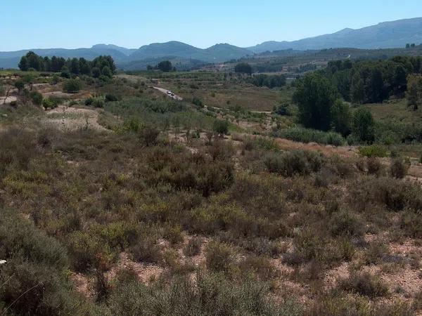 Terreno en camino de la Lloma, 4 photo 3