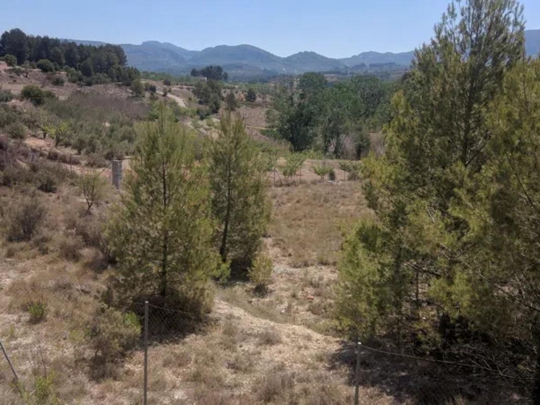 Land for sale in Alcocer de Planes, Alicante photo 5