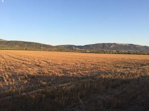 Terreno en les fontanelles photo 2