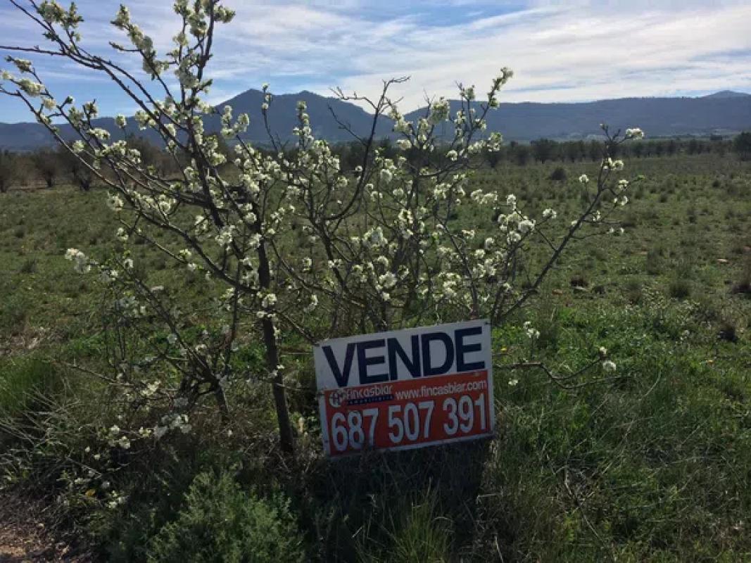 Propiedades en venta y alquiler en España photo 1