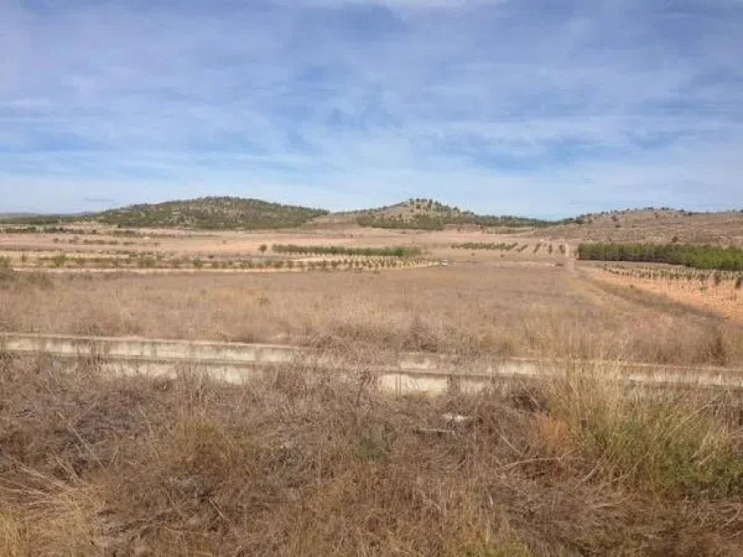 Propiedades en venta y alquiler en España photo 3